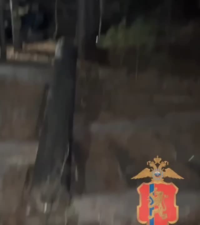 Мигранты с детьми прятались от полиции в тайге в Богучанском районе