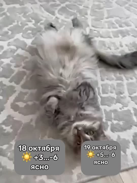 Замерла! Боюсь спугнуть хороший прогноз погоды