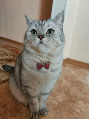  !.       