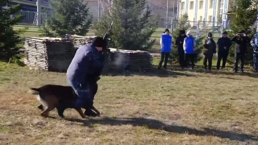  :               