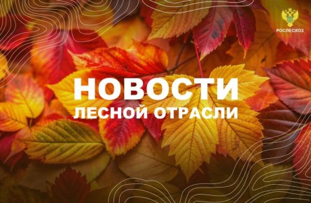 .:         