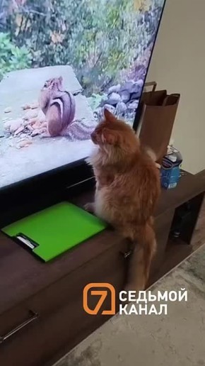  !.      ,    