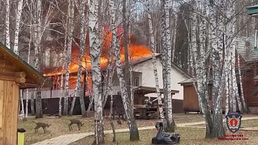 ПОЖАР НА БАЗЕ ОТДЫХА «АПАРТЭЛЬ»