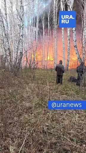 Экопарк-отель загорелся в Красноярском крае