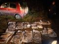 В Енисейском районе возбуждено уголовное дело о незаконной добыче 217 краснокнижных рыб