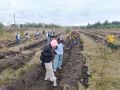В рамках Всероссийской акции «Сохраним лес» в муниципалитетах края высадили 420 тысяч саженцев