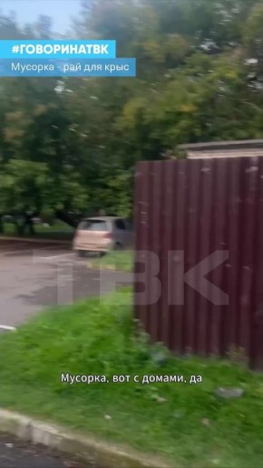 «Вот она сидит, трапезничает – просто огромная крыса»