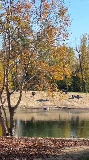 Погода на 25 октября. ТВК