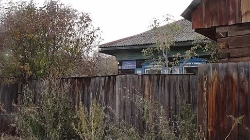 «НАПАЛИ С ТОПОРОМ». Неизвестные напали на собаку с топором в красноярской Николаевке