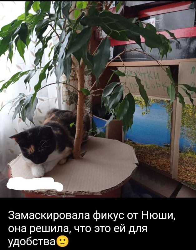   !.      &quot;   &quot;