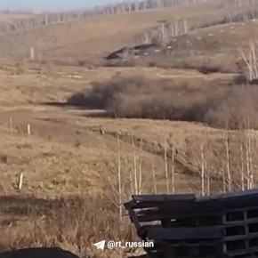 На видео, как утверждают местные каналы, момент нападения собак на мальчика в Красноярском крае