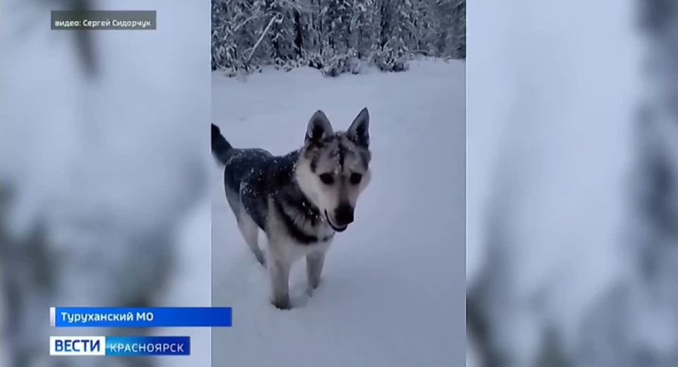    .        ,   ,      ,    