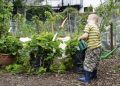 Летний зной: почему дачные дела лучше отложить на потом