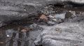 НА МОКРОМ МЕСТЕ. В Красноярске грунтовая вода затопила улицу Тобольскую