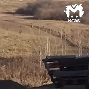 Собаки, растерзавшие мальчика в Красноярском крае, напали ещё и на мужчину