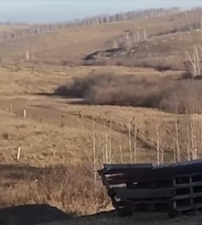 Собаки, растерзавшие 10-летнего мальчика в Красноярском крае, утром того же дня напали на мужчину, который вышел на пробежку и которому удалось в итоге отбиться от псов (на видео, предположительно, этот момент)
