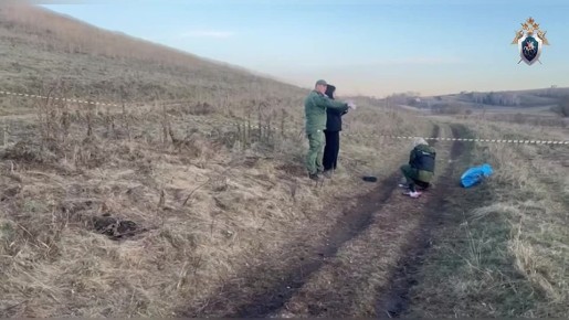 В Красноярском крае возбуждено уголовное дело после гибели подростка в результате нападения собак