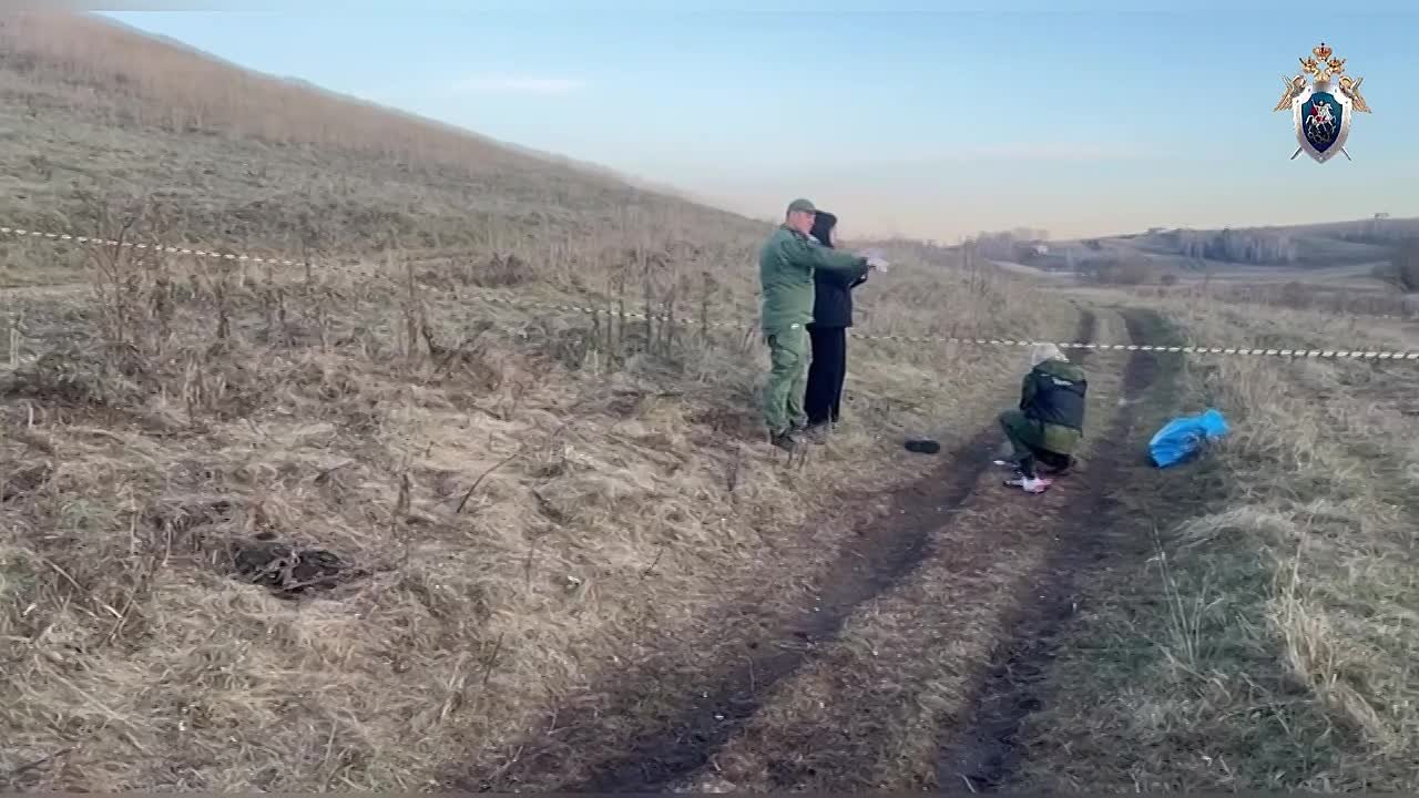 В Красноярском крае возбуждено уголовное дело после гибели подростка в результате нападения собак