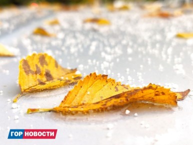 В Красноярске на следующей неделе синоптики прогнозируют «снегодождь»