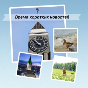 Главное за неделю:. Временно исполняющий полномочия главы города Роман Одинцов подвёл итоги благоустроительного сезона На поперечных улицах в центре города высадили деревья В Красноярском городском Совете депутатов...