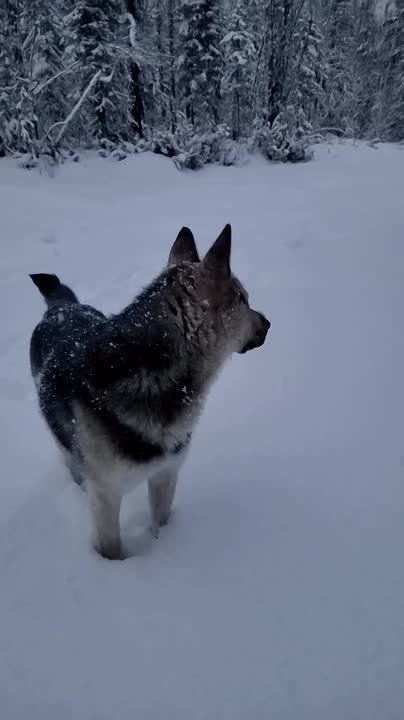  .        :         .   ,    .     .  ...