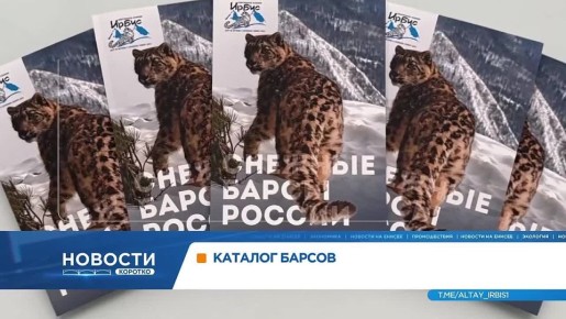 Впервые в России создали каталог известных снежных барсов с именами, историями и фотоальбомами