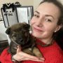 Председателя компании, которая занимается отловом собак, задержали после гибели 10-летнего мальчика в Красноярском крае