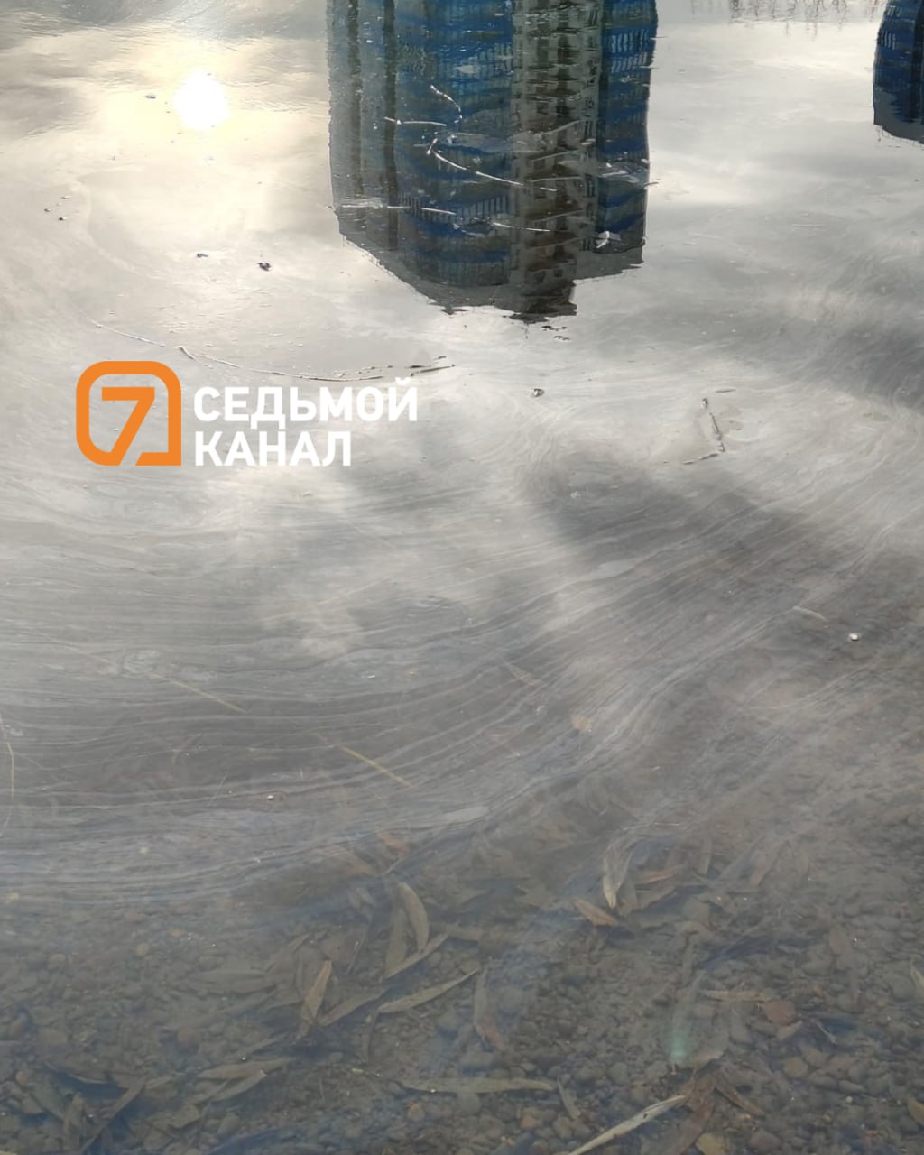 Разводы по-прежнему "украшают" Абаканскую протоку в районе Белых Рос Разводы по-прежнему "украшают" Абаканскую протоку в районе Белых Рос