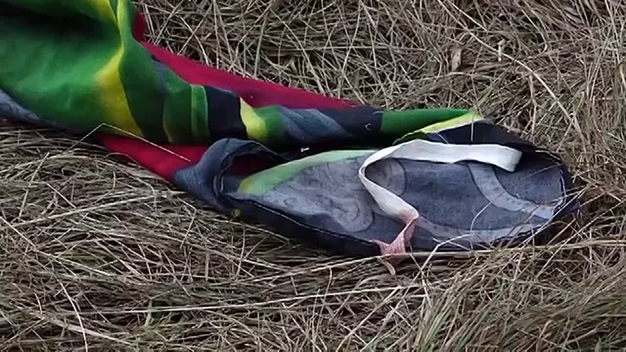 БРОДЯЧИЕ ПСЫ РАСТЕРЗАЛИ РЕБЁНКА