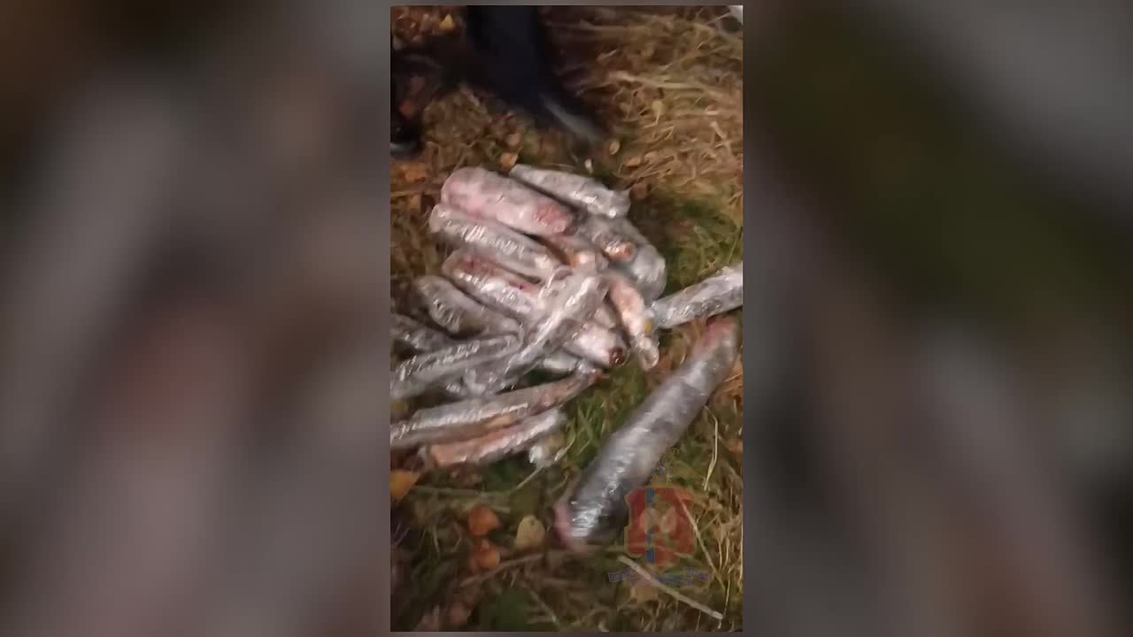 В Красноярском крае полицейские изъяли 217 туш запрещенной к добыче рыбы и 37 банок черной икры