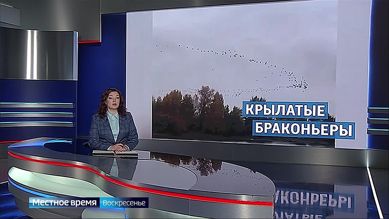 Гигантские стаи бакланов продолжают создавать неудобства жителям края