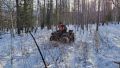 Красноярские спасатели продолжают поиски семьи Усольцевых