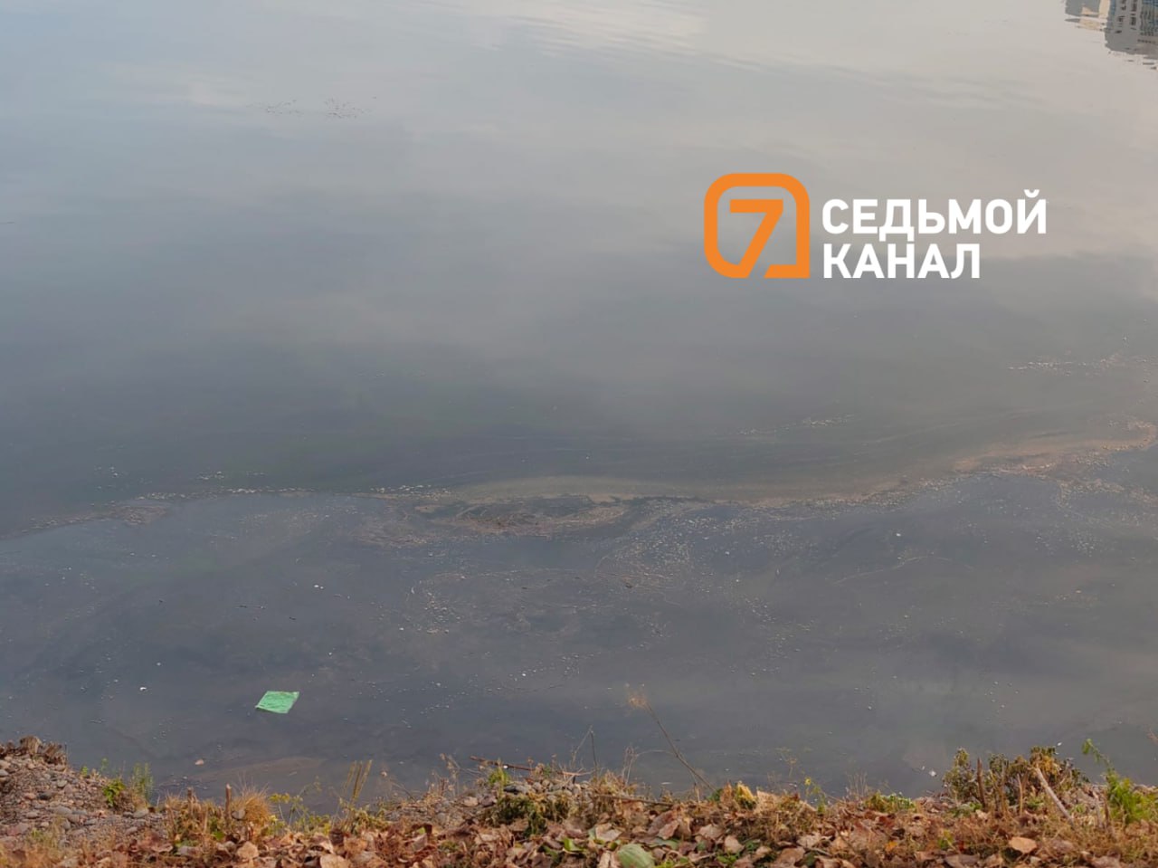 Разводы по-прежнему "украшают" Абаканскую протоку в районе Белых Рос Разводы по-прежнему "украшают" Абаканскую протоку в районе Белых Рос