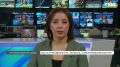 «Без пяти минут готовый к принятию закон сняли с повестки»: в Красноярске разгорелись обсуждения вокруг эвтаназии бродячих собак