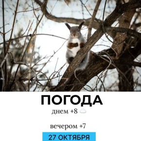 Погода на сегодня. @gornovosti