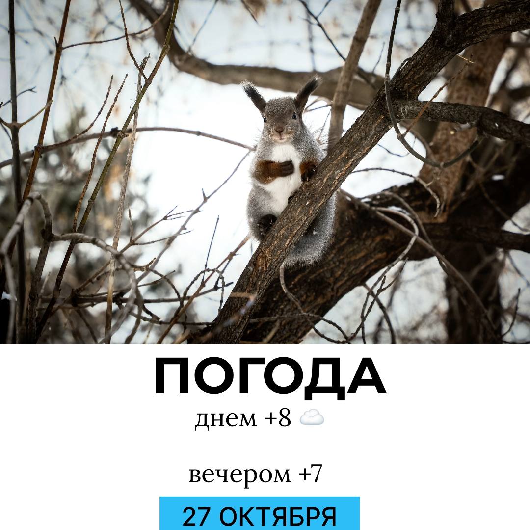 Погода на сегодня. @gornovosti