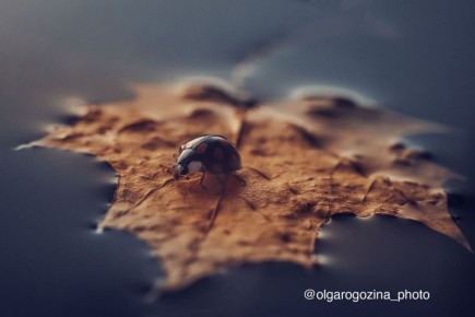 На маленьком плоту. Фото: Ольга Рогозина ТВК