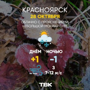 Погода на 28 октября. ТВК