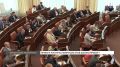 «Дальше мы не собираемся затягивать»: закон об эвтаназии бездомных животных вновь обсуждают в Красноярске после гибели 10-летнего мальчика