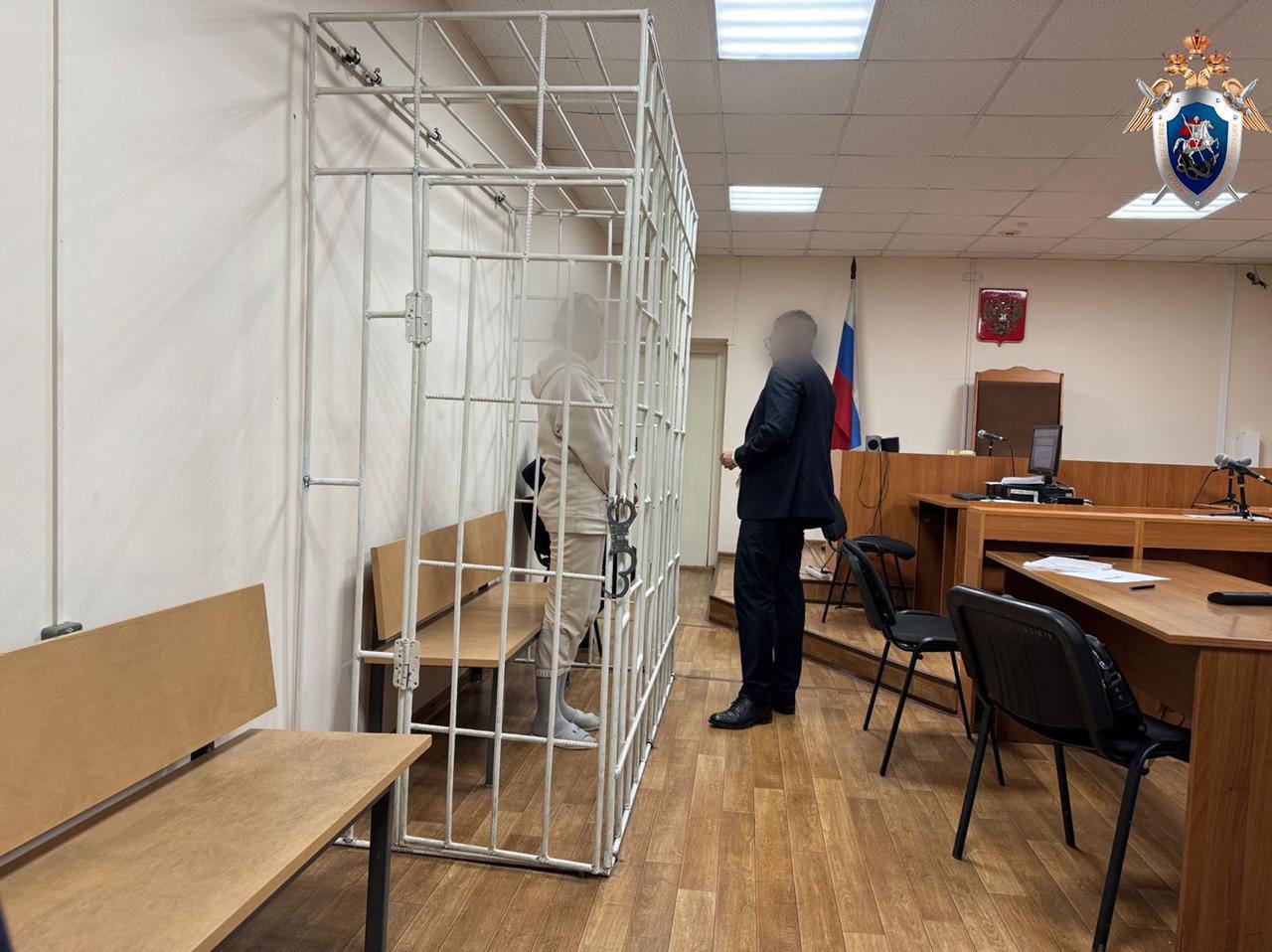 В Красноярске арестовали до 25 декабря председателя региональной организации защиты животных «Мой пёс» после смерти 10-летнего ребенка в результате нападения собак