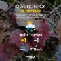 Погода на 28 октября. ТВК