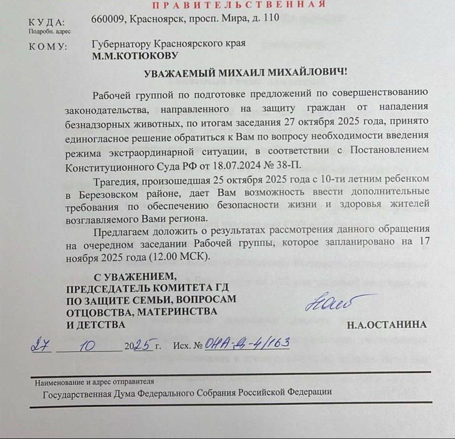 После гибели 10-летнего мальчика от бродячих собак в Красноярском крае требуют ввести режим "экстраординарной ситуации"