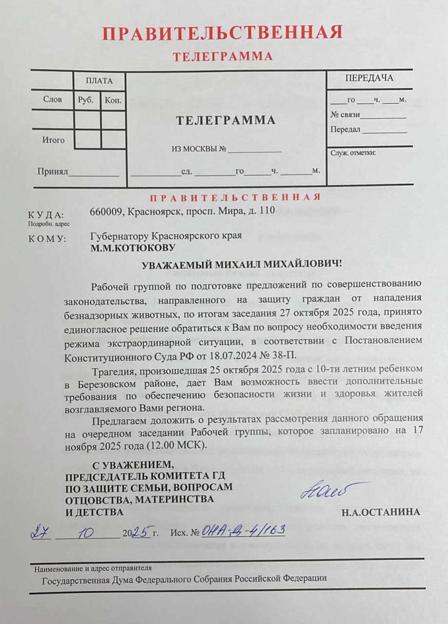 Режим экстраординарной ситуации в Красноярском крае предложили ввести в Госдуме после гибели 10-летнего мальчика от укусов собак