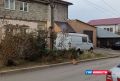 В Красноярске рыжий кот устроил «охоту» на соболя