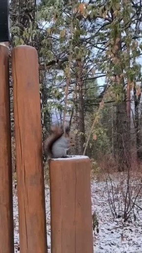 Погода на 30 октября. ТВК