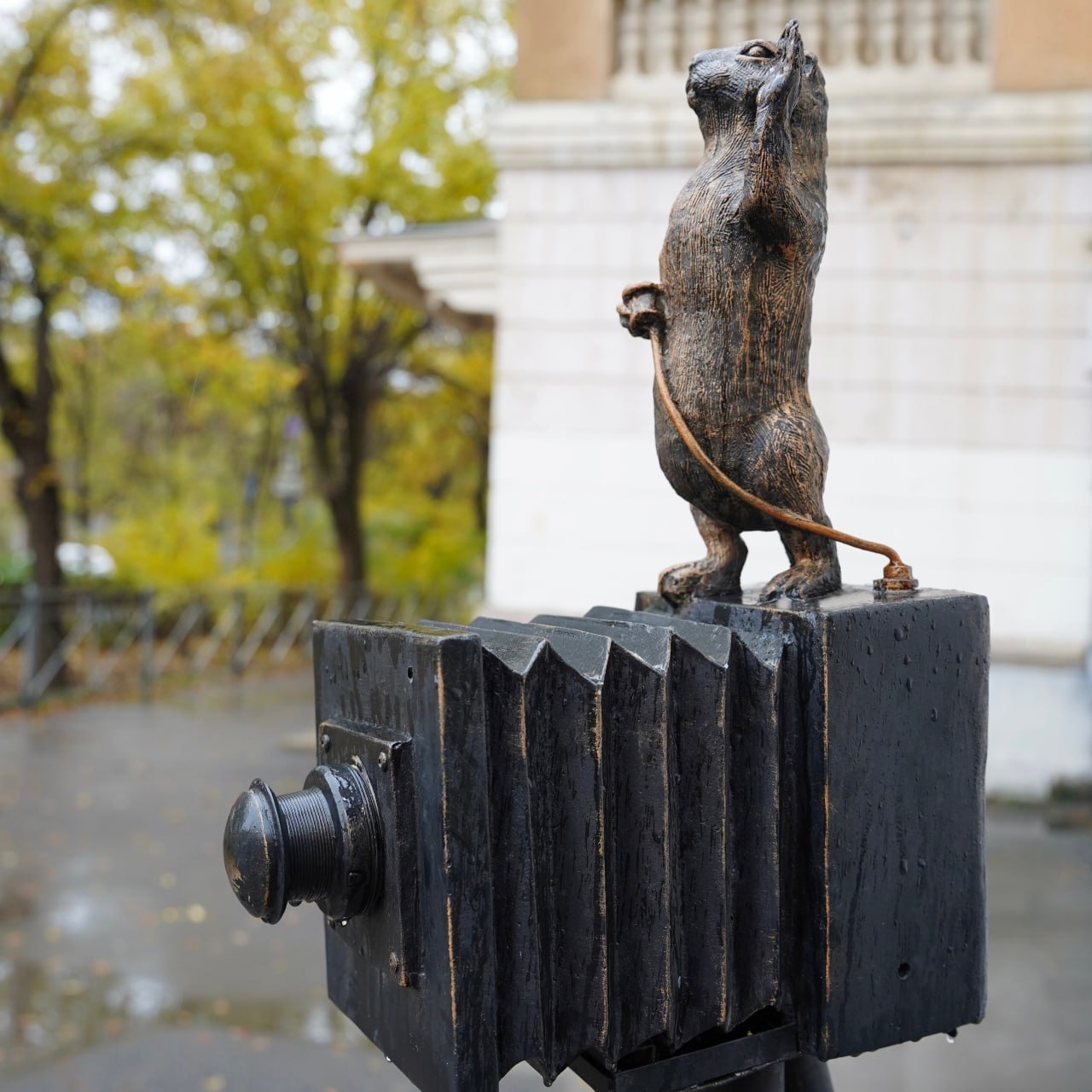 Продолжаем знакомство с историей города Волжского в проекте #вГостисСусликами