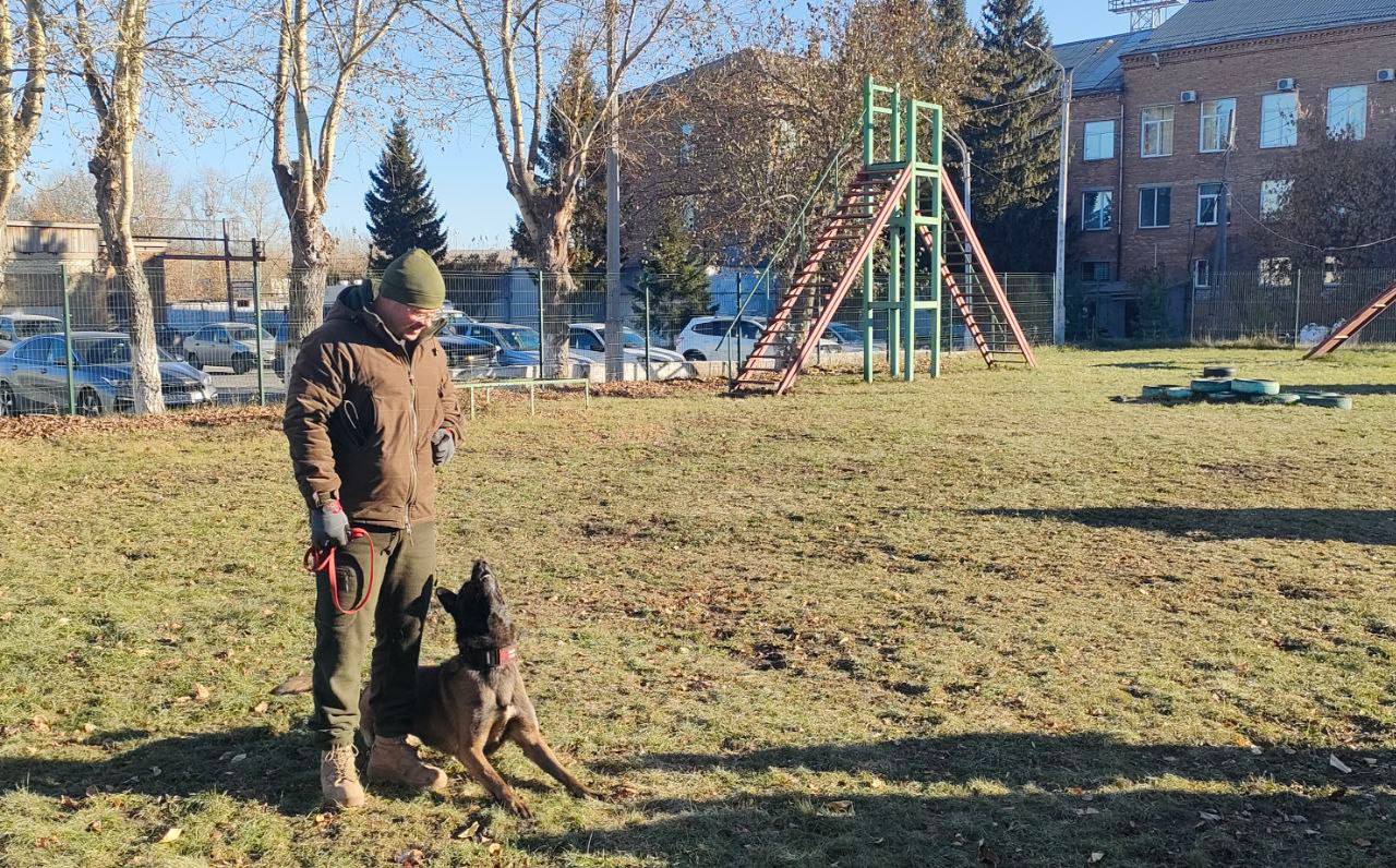 Полицейские заботятся о детях: от увлекательных экскурсий до важных правил безопасности Полицейские заботятся о детях: от увлекательных экскурсий до важных правил безопасности