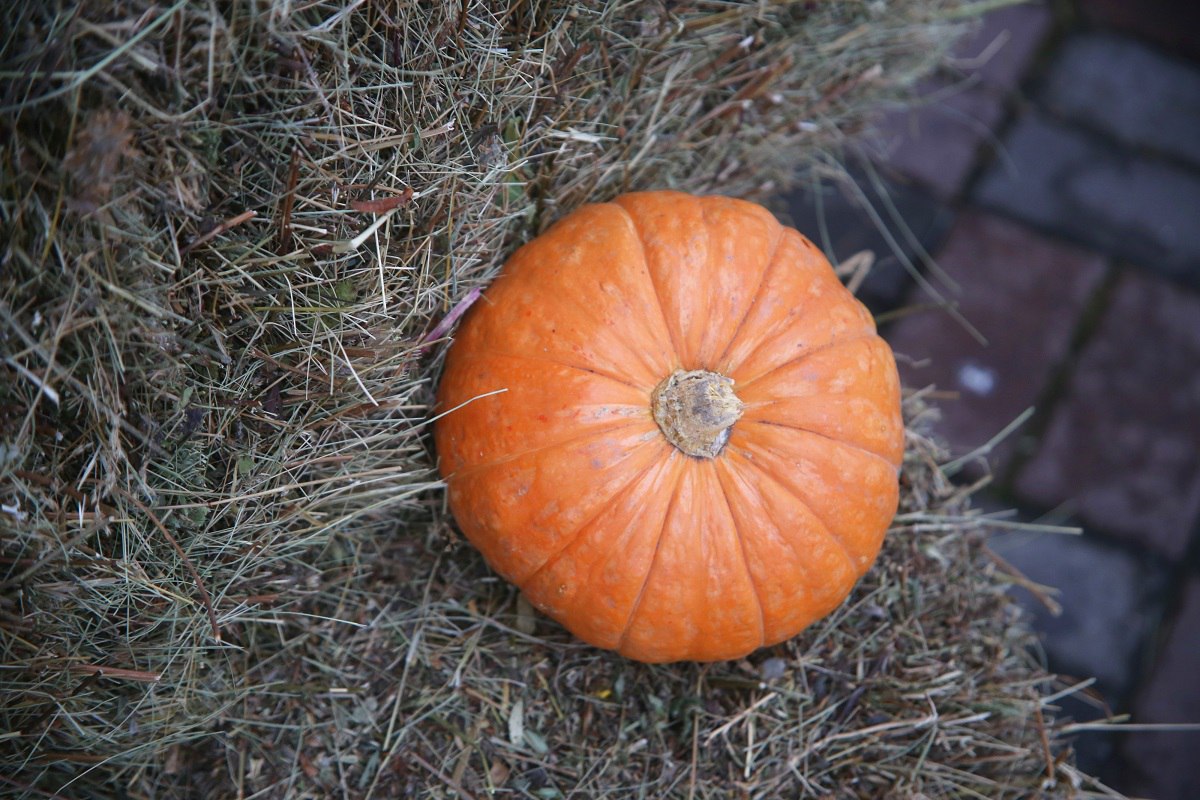 Где в Красноярске будут праздновать Хэллоуин