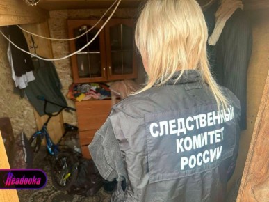 Мать, зарубившую топором своих троих детей, отправили на принудительное лечение