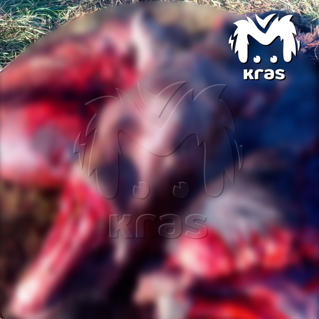 Сына экс-главы Дзержинского района подозревают в браконьерстве